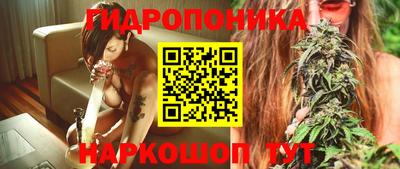 гидропоника Заводоуковск