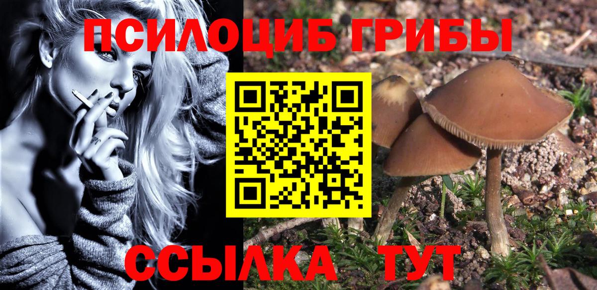 Магнитогорск  Галлюциногенные грибы мухоморы  Вход с VPN 